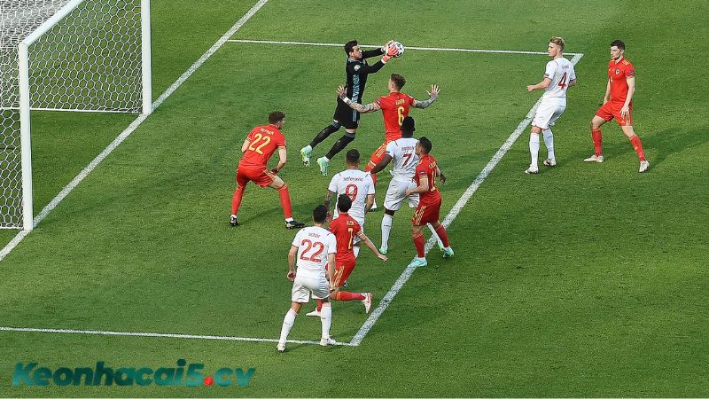 Tìm hiểu về cơ chế hoạt động giữa 2 kèo này