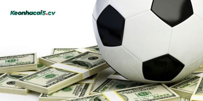 Bỏ túi mẹo đọc kèo cực hay ít người biết