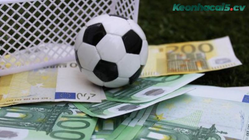 "Dòng tiền" trong cá cược là gì?