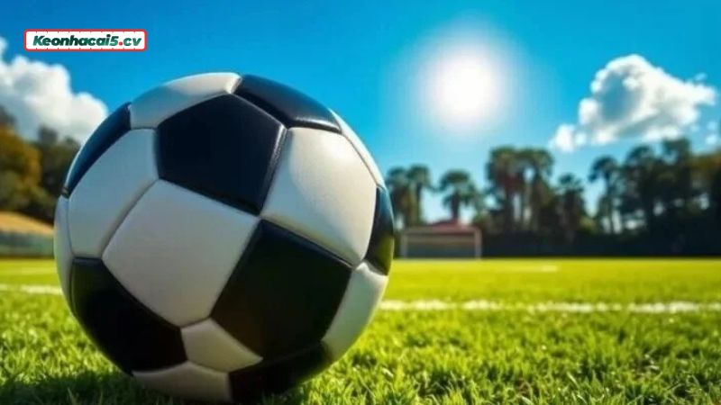 Soi kèo dựa vào nhận định của các chuyên gia