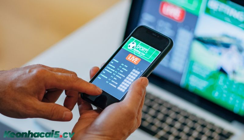 Thua nửa tiền xảy ra khi nào?