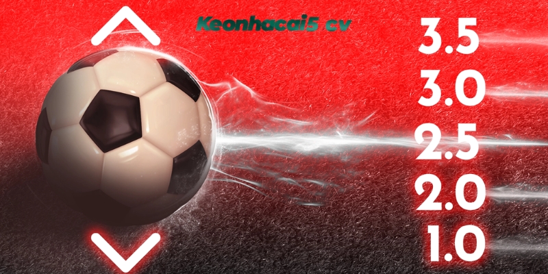 Kinh nghiệm soi kèo cược Half time/Full time của tay chơi lão làng