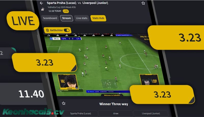 Tỷ lệ kèo là gì? Thành phần quan trọng của bảng kèo